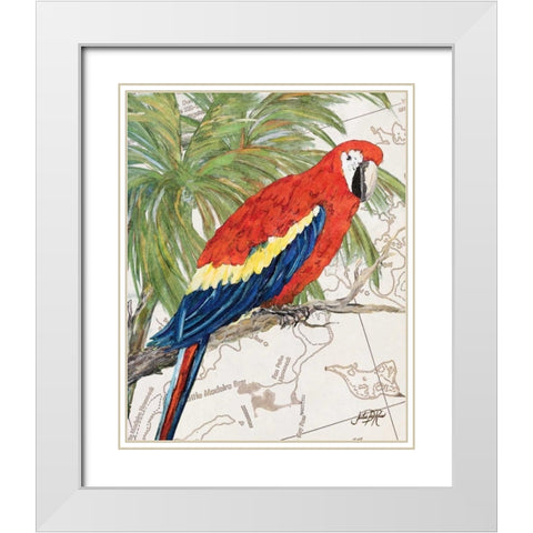 Another Bird in Paradise I White Modern Wood Framed Art Print with Double Matting by DeRice, Julie