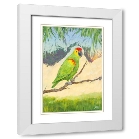 Tropic Bird in Paradise II White Modern Wood Framed Art Print with Double Matting by DeRice, Julie