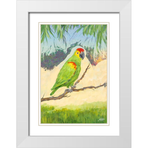 Tropic Bird in Paradise II White Modern Wood Framed Art Print with Double Matting by DeRice, Julie