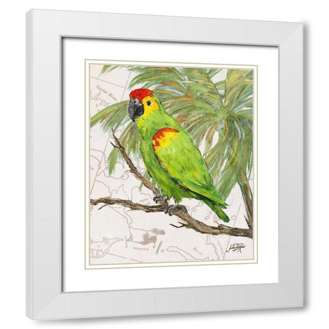 Another Bird in Paradise II White Modern Wood Framed Art Print with Double Matting by DeRice, Julie