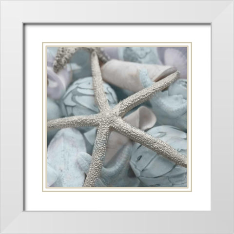 Seashells in Blue I White Modern Wood Framed Art Print with Double Matting by Bryant, Susan