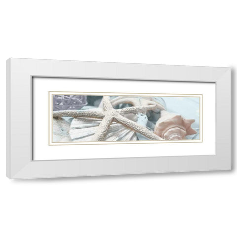 Gold Seashells I White Modern Wood Framed Art Print with Double Matting by Bryant, Susan