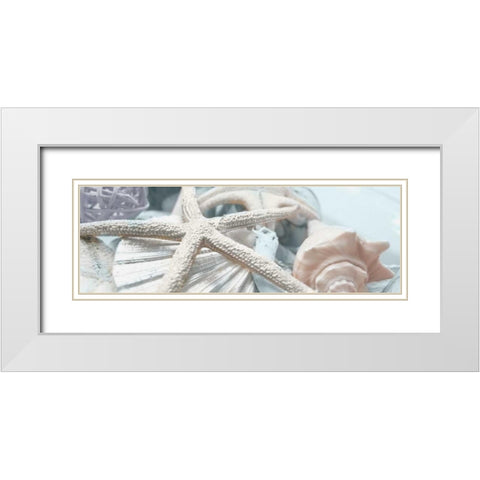 Gold Seashells I White Modern Wood Framed Art Print with Double Matting by Bryant, Susan