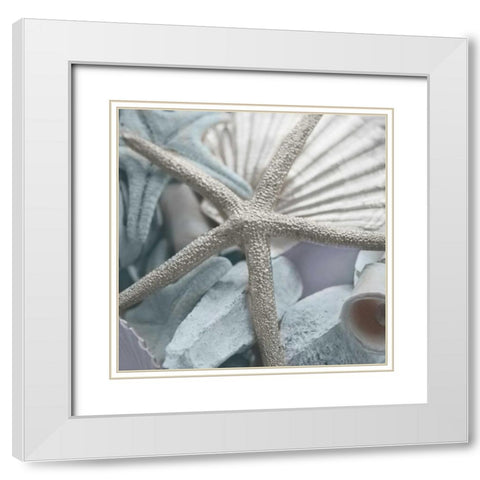 Seashells in Blue II White Modern Wood Framed Art Print with Double Matting by Bryant, Susan