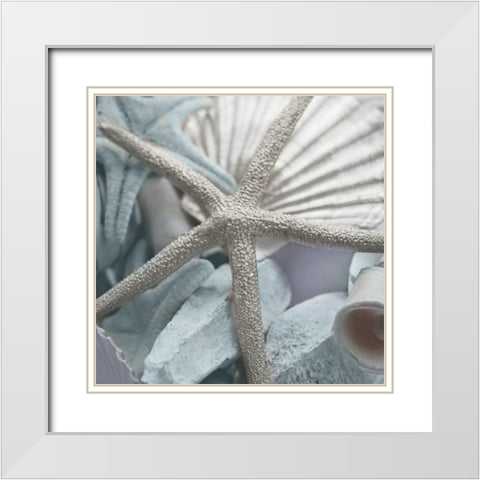 Seashells in Blue II White Modern Wood Framed Art Print with Double Matting by Bryant, Susan
