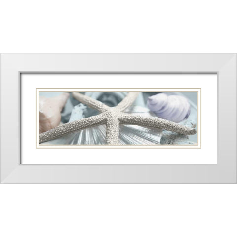 Gold Seashells II White Modern Wood Framed Art Print with Double Matting by Bryant, Susan