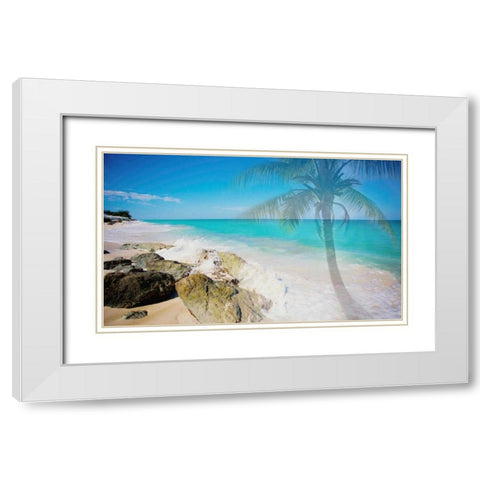 Palm By The Rocks White Modern Wood Framed Art Print with Double Matting by Bryant, Susan