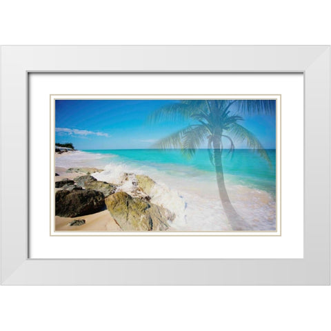 Palm By The Rocks White Modern Wood Framed Art Print with Double Matting by Bryant, Susan