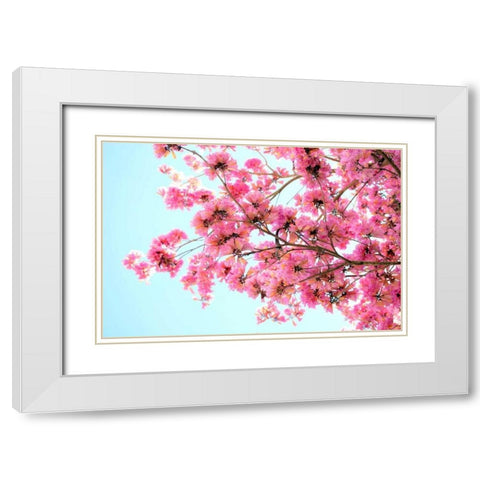 Pink Floral Branch White Modern Wood Framed Art Print with Double Matting by Peck, Gail