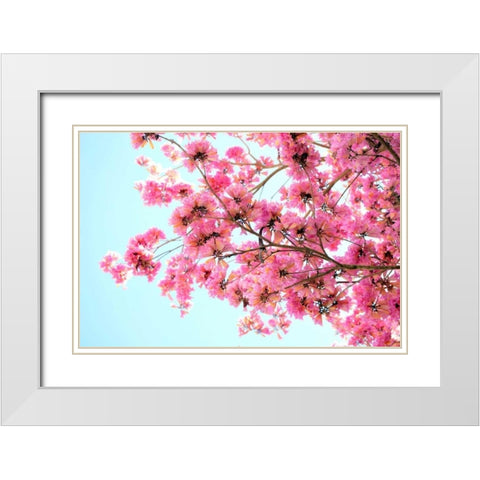 Pink Floral Branch White Modern Wood Framed Art Print with Double Matting by Peck, Gail