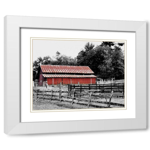 BW Rustic Barn White Modern Wood Framed Art Print with Double Matting by Peck, Gail