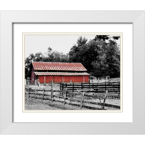 BW Rustic Barn White Modern Wood Framed Art Print with Double Matting by Peck, Gail