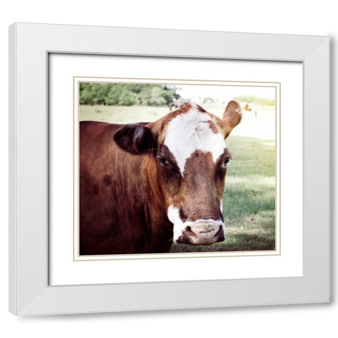 Farm White Modern Wood Framed Art Print with Double Matting by Peck, Gail