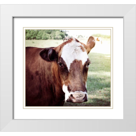 Farm White Modern Wood Framed Art Print with Double Matting by Peck, Gail