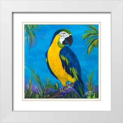 Island Birds Square II White Modern Wood Framed Art Print with Double Matting by DeRice, Julie
