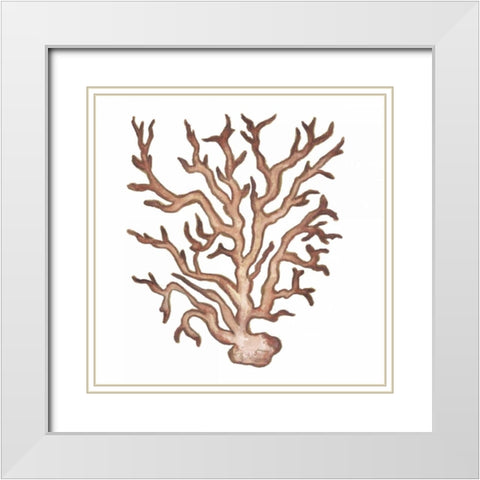 Coastal Icon Coral III White Modern Wood Framed Art Print with Double Matting by Medley, Elizabeth