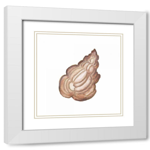 Coastal Icon Coral IX White Modern Wood Framed Art Print with Double Matting by Medley, Elizabeth