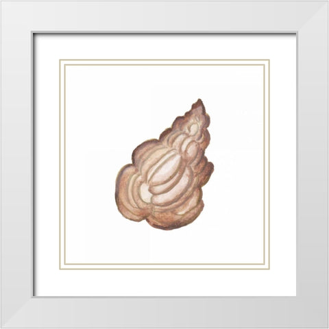 Coastal Icon Coral IX White Modern Wood Framed Art Print with Double Matting by Medley, Elizabeth
