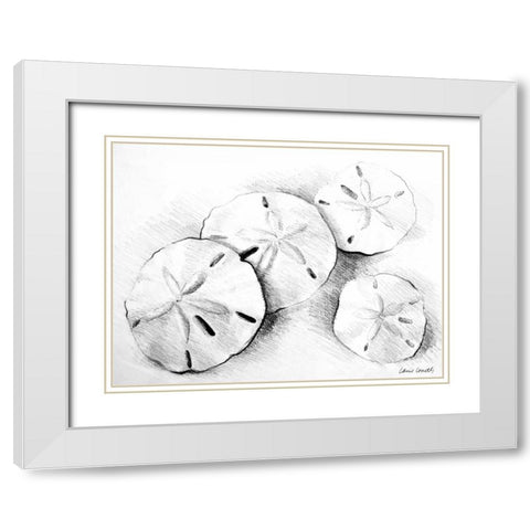 Sand Dollar II White Modern Wood Framed Art Print with Double Matting by Loreth, Lanie