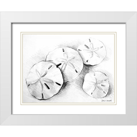 Sand Dollar II White Modern Wood Framed Art Print with Double Matting by Loreth, Lanie