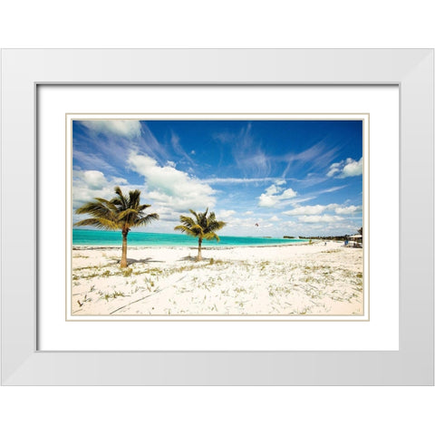 Palms and Kites White Modern Wood Framed Art Print with Double Matting by Bryant, Susan