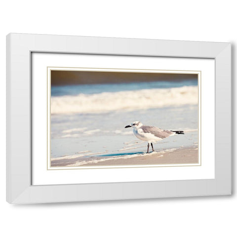 See the Seagull White Modern Wood Framed Art Print with Double Matting by Bryant, Susan