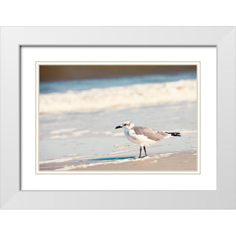 See the Seagull White Modern Wood Framed Art Print with Double Matting by Bryant, Susan