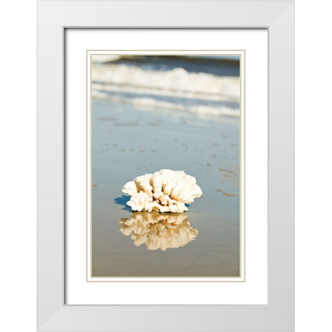 Coral Reflection White Modern Wood Framed Art Print with Double Matting by Bryant, Susan