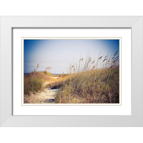 Beach Grass Path White Modern Wood Framed Art Print with Double Matting by Bryant, Susan