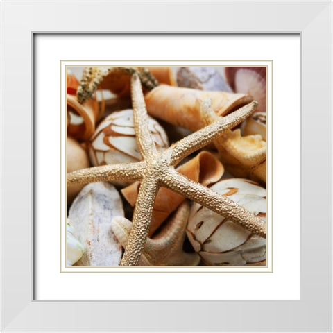 Gold Starfish I White Modern Wood Framed Art Print with Double Matting by Bryant, Susan
