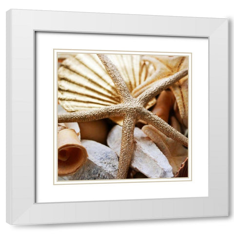 Gold Starfish II White Modern Wood Framed Art Print with Double Matting by Bryant, Susan