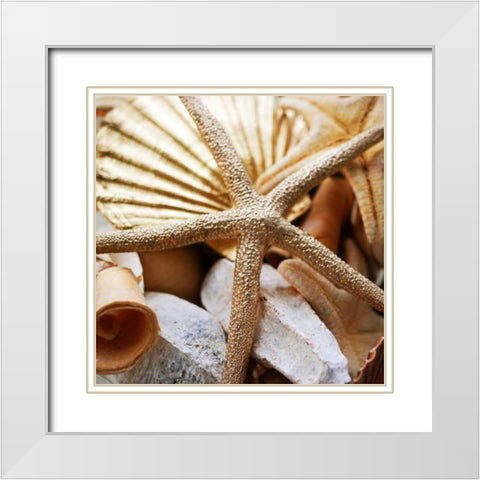 Gold Starfish II White Modern Wood Framed Art Print with Double Matting by Bryant, Susan