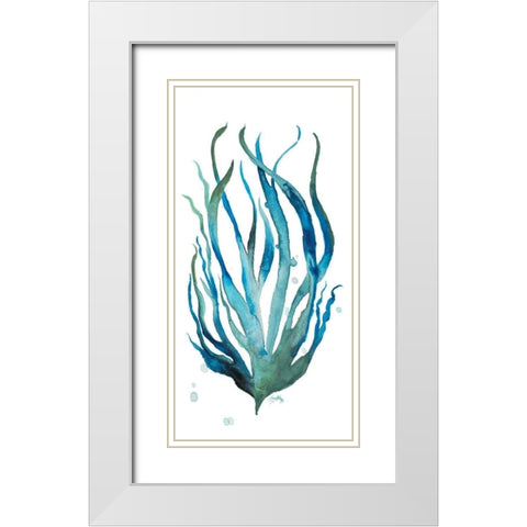 Aqua Creatures III White Modern Wood Framed Art Print with Double Matting by Medley, Elizabeth