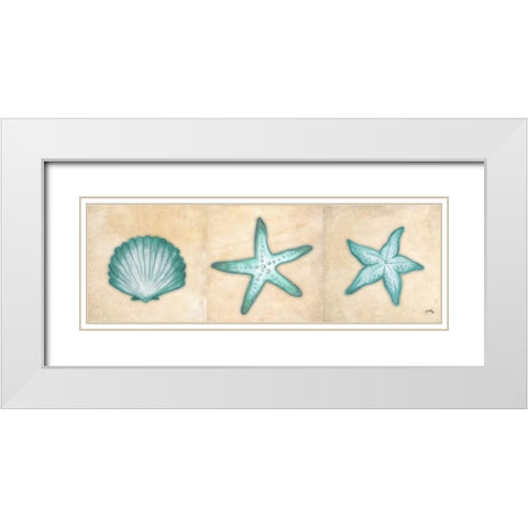 Shells I White Modern Wood Framed Art Print with Double Matting by Medley, Elizabeth