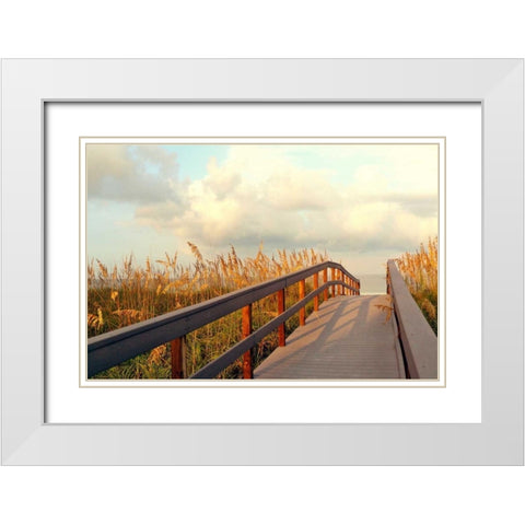 Sunset Pathway White Modern Wood Framed Art Print with Double Matting by Peck, Gail