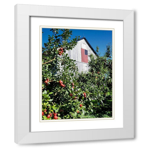 Patriotic Barn White Modern Wood Framed Art Print with Double Matting by Peck, Gail