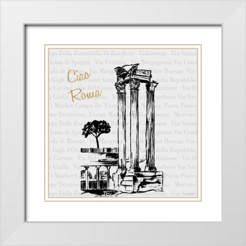 Travel Pack III White Modern Wood Framed Art Print with Double Matting by Biscardi, Nicholas