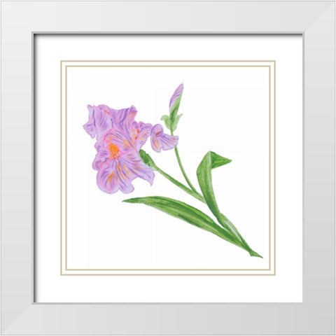 Floral VI White Modern Wood Framed Art Print with Double Matting by Baliko, Linda