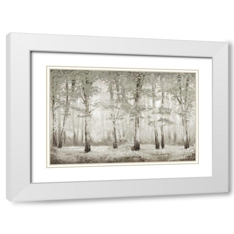 Misty Woodland Glow White Modern Wood Framed Art Print with Double Matting by Marcon, Michael