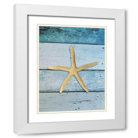 Shell on Blue Wood I White Modern Wood Framed Art Print with Double Matting by Rodriguez, Jairo