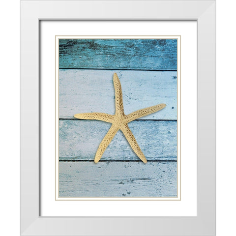 Shell on Blue Wood I White Modern Wood Framed Art Print with Double Matting by Rodriguez, Jairo