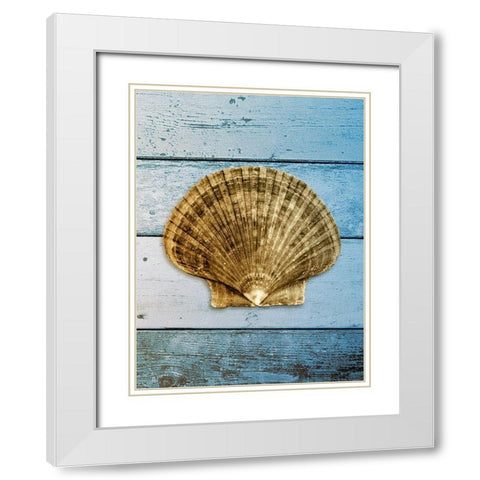 Shell on Blue Wood II White Modern Wood Framed Art Print with Double Matting by Rodriguez, Jairo