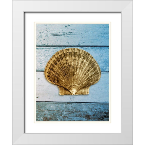 Shell on Blue Wood II White Modern Wood Framed Art Print with Double Matting by Rodriguez, Jairo