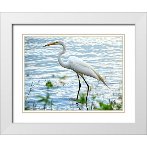 By The Lake Egret White Modern Wood Framed Art Print with Double Matting by Nawrocke, Bruce