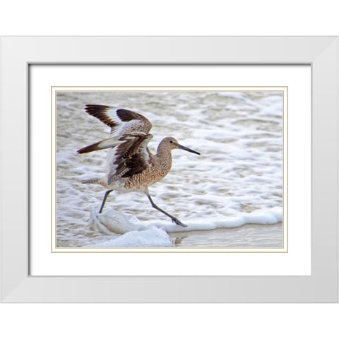 Frolicking In Waves White Modern Wood Framed Art Print with Double Matting by Nawrocke, Bruce
