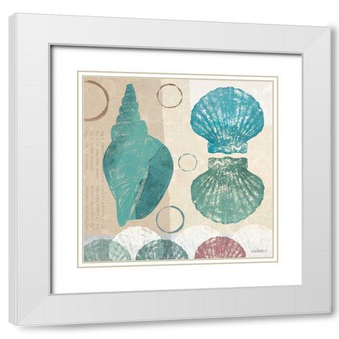 Shell Collage II White Modern Wood Framed Art Print with Double Matting by Meneely, Dan