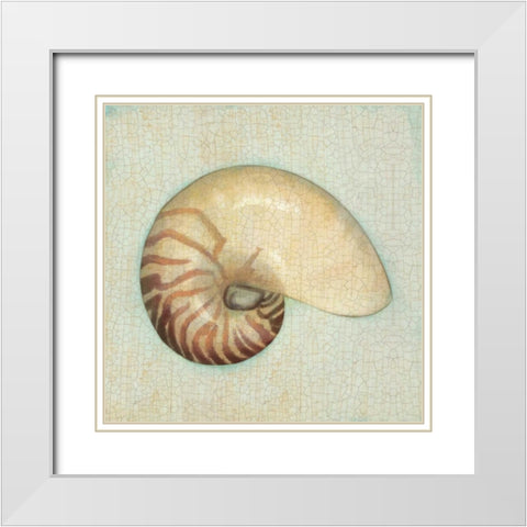 Coastal Treasures III White Modern Wood Framed Art Print with Double Matting by Josefina