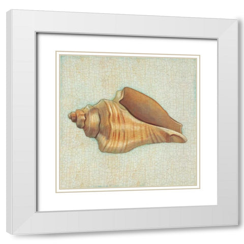 Coastal Treasures II White Modern Wood Framed Art Print with Double Matting by Josefina