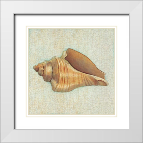Coastal Treasures II White Modern Wood Framed Art Print with Double Matting by Josefina