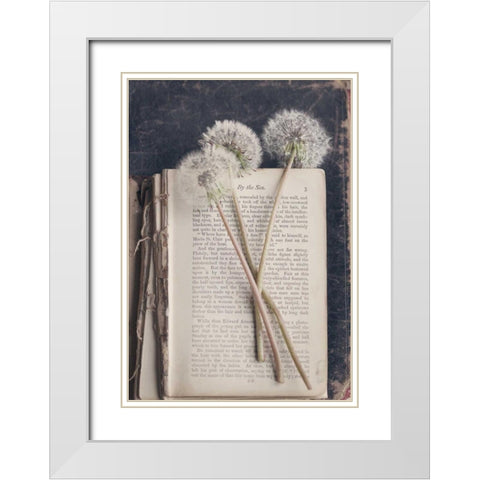 By The Sea (Book) White Modern Wood Framed Art Print with Double Matting by Gardner, Sarah